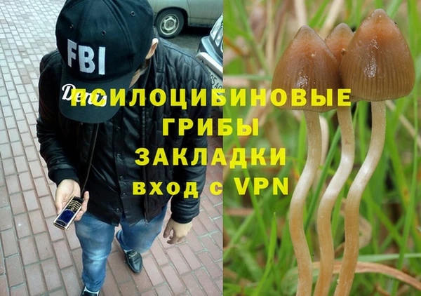 гашик Волоколамск