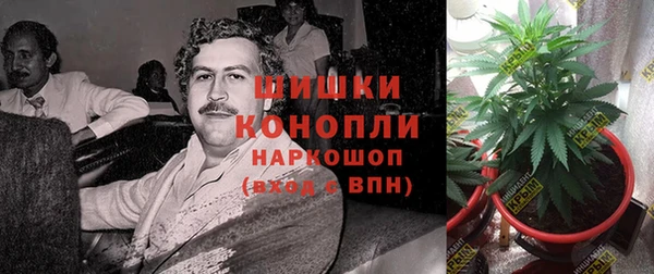 гашик Волоколамск
