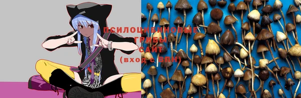 амфетамин Волосово
