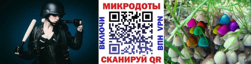 магазин продажи наркотиков Грозный Галлюциногенные грибы Psilocybe