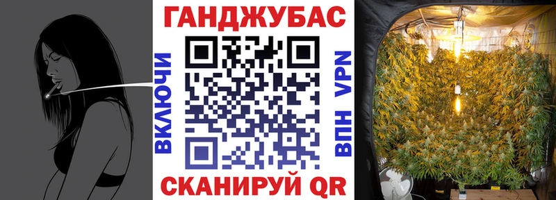хочу   Грозный  Конопля сатива 